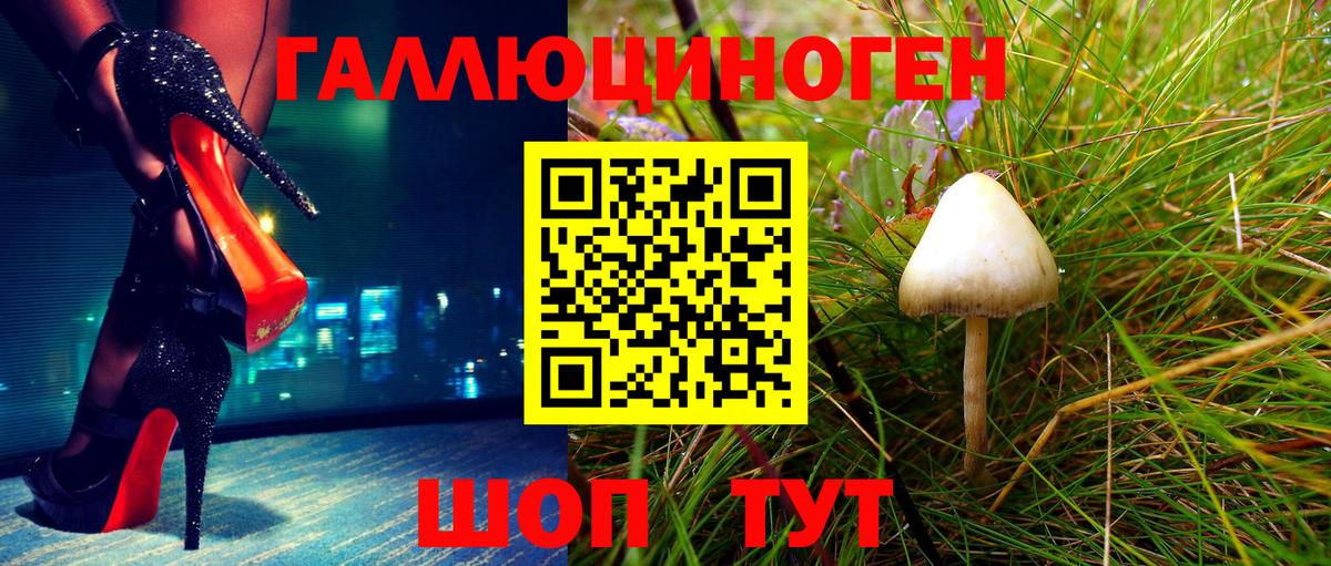 Коряжма  Псилоцибиновые грибы GOLDEN TEACHER  Вход с VPN  Псилоцибиновые грибы Cubensis 
