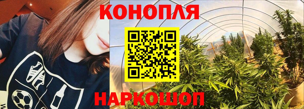 Коряжма  МАРИХУАНА тримм  Каннабис семена  Вход с VPN  Марихуана SATIVA & INDICA 